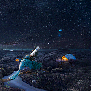 2025 Cordoba Turismo Verano